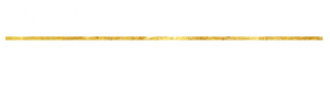 לוגו רוחבי כיתוב